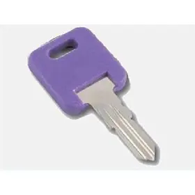 013-690329 Ap Products Global Replacement Key #329