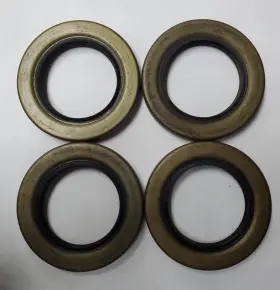 21334tb Dichtomatik Double Lip Seal 4pk