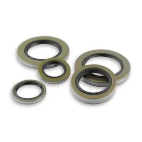Se125-197-25tb Power10 Parts Grease Seal Double Lip 1.25in Id X 1.97in Od