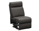 Lippert Components 2024044110 Center Armless Recliner 21.5IN Wx 35IN Depx 39IN H. Fixed Price $542.03.