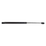 Ap Products Gas Spring (010522). Fixed Price $43.48.