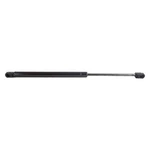 Ap Products 22 Lb 6.7" To 16"L Lift Support. Fixed Price $17.22.