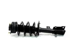 For 2008-2010 Chrysler Sebring Strut And Coil Spring Assembly Gabriel 56128GDDN. Fixed Price $112.37.