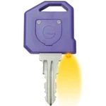 Global Link Oem Rv Motorhome Trailer One Precut Replacement Key G334 Led Light. Fixed Price $7.89.
