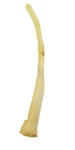 12509 Thetford AM4 Flush Tube Early Aqua Magic Iv Toilets. Fixed Price $15.99.